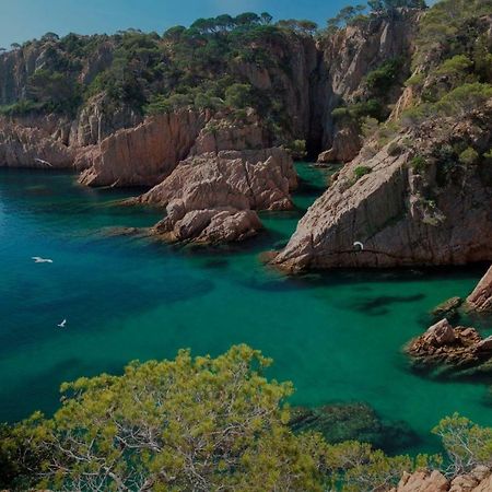 Apartament Apartament A La Placeta De Sant Joan 21, 3R Sant Feliu de Guíxols Zewnętrze zdjęcie